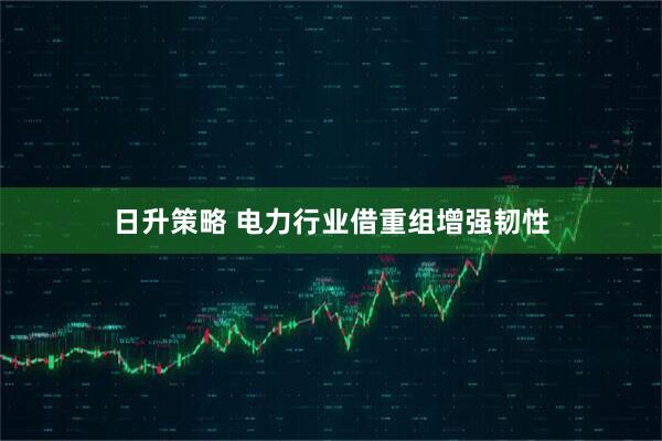 日升策略 电力行业借重组增强韧性