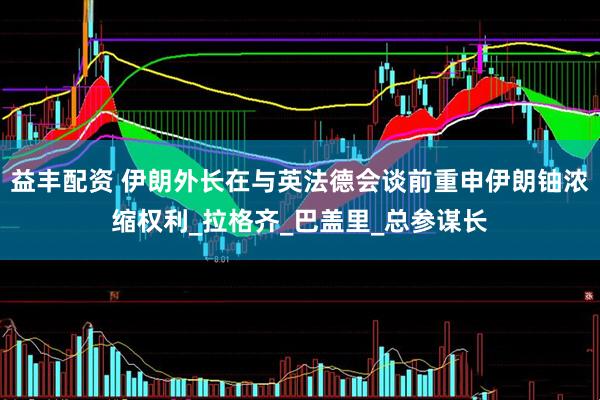 益丰配资 伊朗外长在与英法德会谈前重申伊朗铀浓缩权利_拉格齐_巴盖里_总参谋长